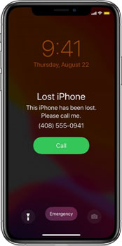 iphone passcode display